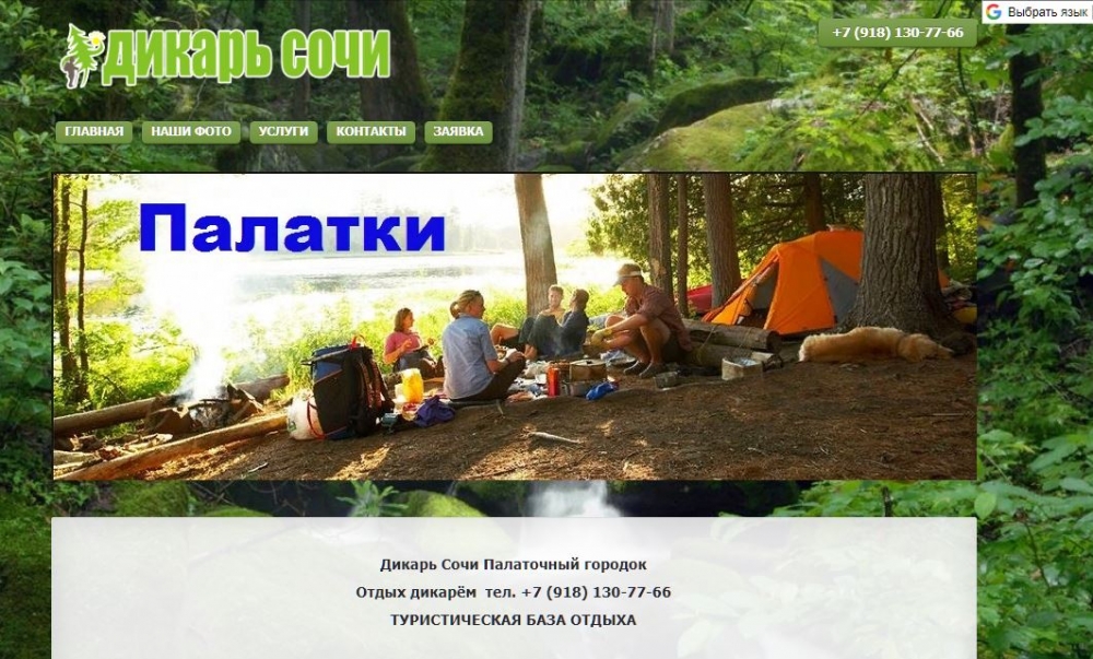 Создание сайтов в джунглях создание и продвижение сайтов москва